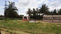 AMO (220)